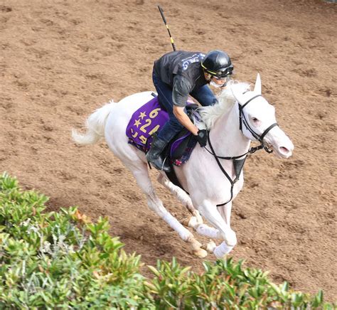 ソダシ 秋華賞参戦正式決定、07年ダイワスカーレット以来の桜と2冠制覇へ― スポニチ Sponichi Annex ギャンブル