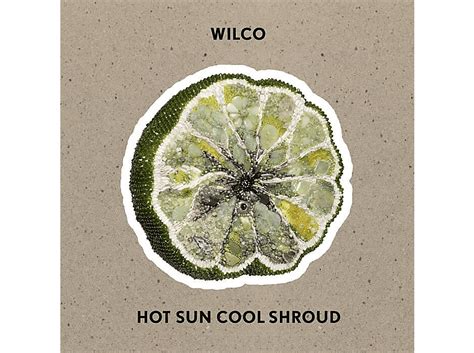 Wilco Wilco Hot Sun Cool Shroud Maxi Single CD Rock CDs MediaMarkt