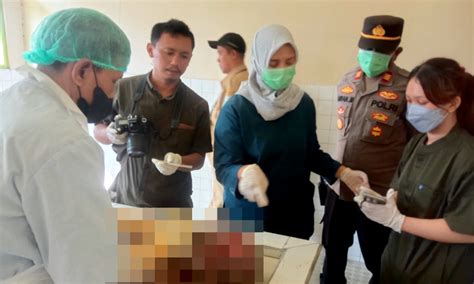 Geger Mayat Tanpa Identitas Ditemukan Di Saluran Irigasi Purbalingga