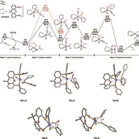 The Proposed Mechanism Of The Rh Catalyzed Decarbonylation Of Monoyones