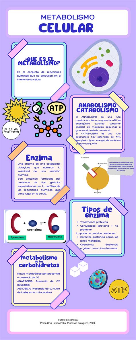 O Que E Metabolismo Celular - Infografía sobre el Metabolismo Celular - Procesos Biológicos 2023 ...