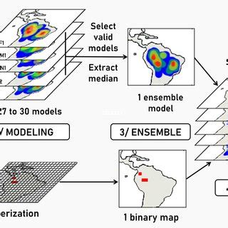 Species Distribution Model SDM Workflow Depicting The Different