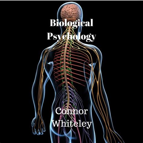 Biological Psychology - Audiobook - Walmart.com - Walmart.com