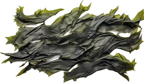 Ai Generated Sheet Of Dried Seaweed Png 34918900 Png