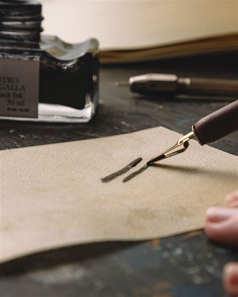 drawing ink jacksons art