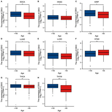 Correlation Of Cbx Expression With Age In A Esca B Hnsc C