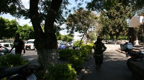 Seis Personas Con Picaduras De Abejas En Plaza Publica De Morelia