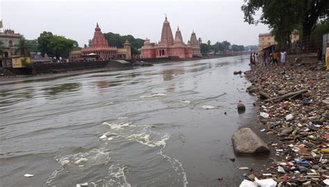 ganga pollution case  effects case studies  water quality