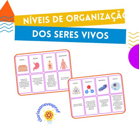 Questões Sobre Niveis De Organização Dos Seres Vivos