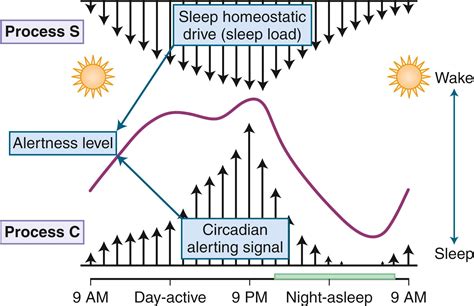 sleep   disorders clinical tree