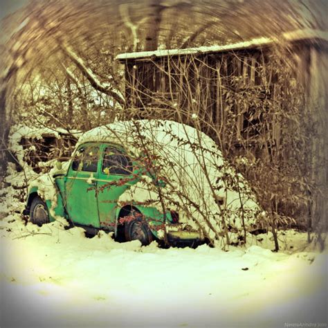 picontagious photography  poetic pondering winter vintage beetle