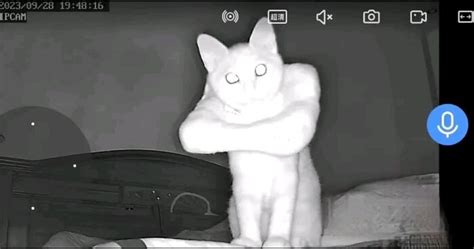 confusing           understand