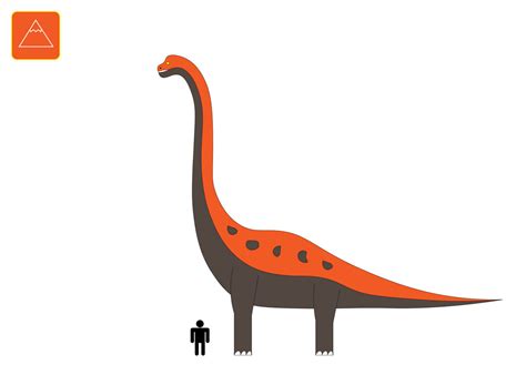 Brachiosaurus Dinosaur King New Massive Dinosaur Skeleton Discovered