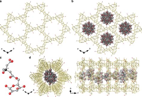 Crystal Structure Resolution Of Brutieridin 11 Views Of The 3d