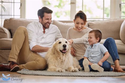 What Dogs Want In A Happy Home In Home Pet Euthanasia Herons Crossing