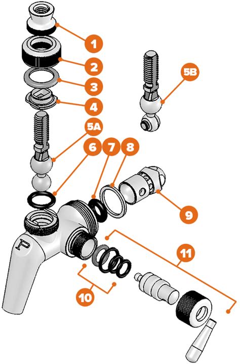 Beer Faucet Diagram At William Fellows Blog
