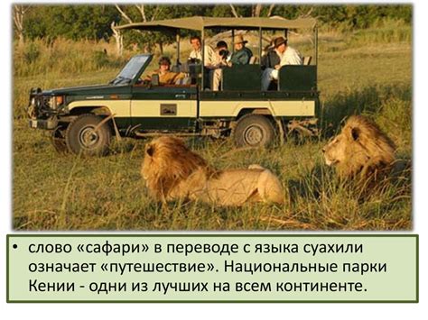 Путешествие по Африке - презентация онлайн