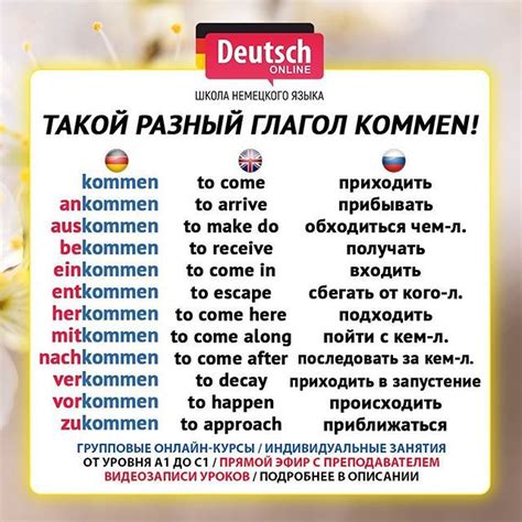Немецкий язык on Instagram: “🇩🇪Групповые онлайн-курсы утром, днём и ...