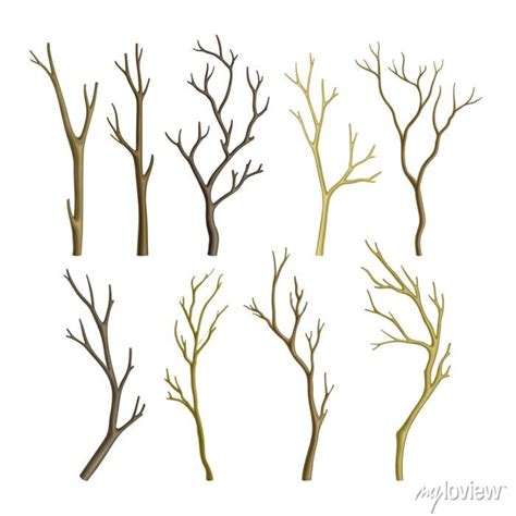 Bare Tree Branch Or Twigs With Naked Stem And Snag Vector Set Wall Stickers Vector Art