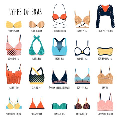 Types Of Bras Big Vector Bundle Of Lingerie Set Of Underwear Balconette Strapless Unlined