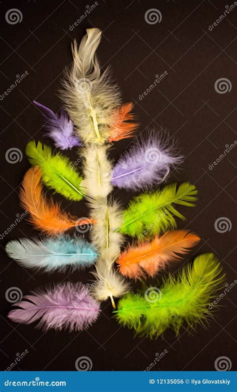 Funny Christmas tree stock photo. Image of feather, decor - 12135056