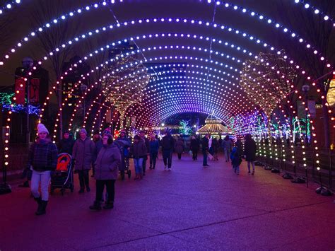 Lincoln Park Zoo - Keepers surprised the apes with sweet, sugar-free