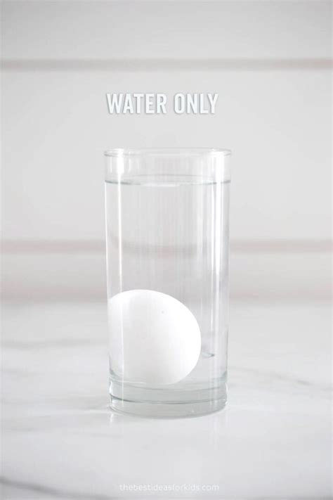 Floating Egg Experiment The Best Ideas For Kids