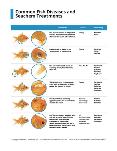 Table Common Fish Diseases And Seachem Treatments Knowledge Base