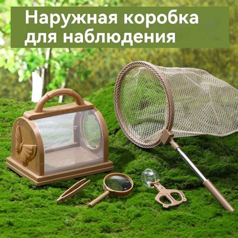Уличный коллектор для исследования насекомых для детей и учащихся ...