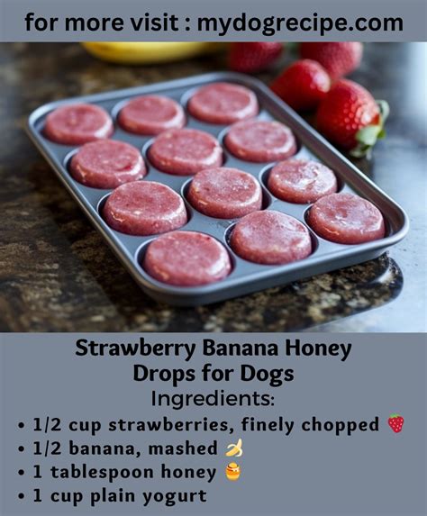 Homemade - 𝐒𝐭𝐫𝐚𝐰𝐛𝐞𝐫𝐫𝐲 𝐁𝐚𝐧𝐚𝐧𝐚 𝐇𝐨𝐧𝐞𝐲 𝐃𝐫𝐨𝐩𝐬 𝐟𝐨𝐫 𝐃𝐨𝐠𝐬 🍓🍌🍯 Ingredients: - 1/