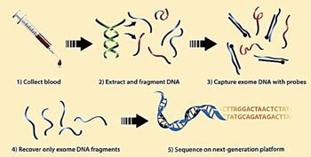 Whole Exome Sequencing Identifies Rare Inherited Diseases Molecular