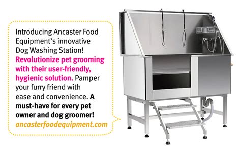 Dog Washing Station - Ancaster Food Equipment