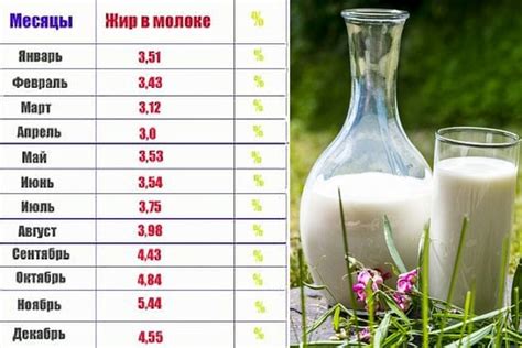 Жирність молока у корів: способи визначення | Господарство