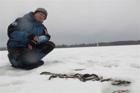 Одна из лучших зимних удочек – проверена временем и морозами