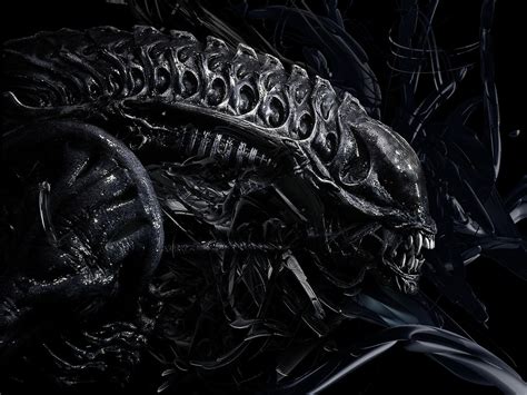 Alien Xenomorph Wallpaper