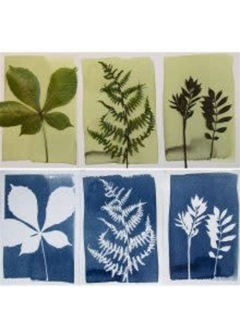 Cyanotype Kit DIY Kit Om Zelf Blauwdruk Prints Te Maken GRUUN