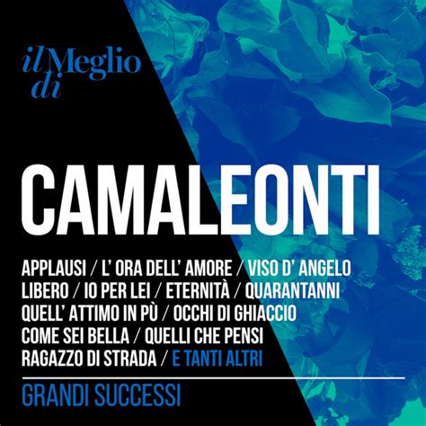 Il Meglio Di Camaleonti Grandi Successi Album By I Camaleonti Spotify