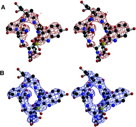 Structural Basis Of Transcription α Amanitinrna Polymerase Ii