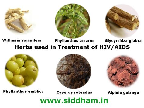Management Of Hivaids Hiv Medicines Medicine Information Center