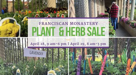 bloomingdale: over in Brookland: Franciscan Monastery Garden Guild ...