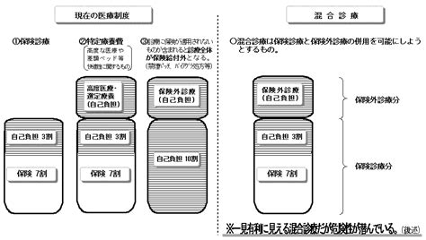 医療情報室ﾚﾎﾟｰﾄ№79（ 特集：混合診療 －その2－