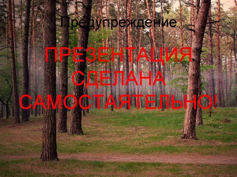 Поведение в лесу - презентация онлайн