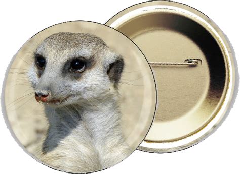 Pin Badges