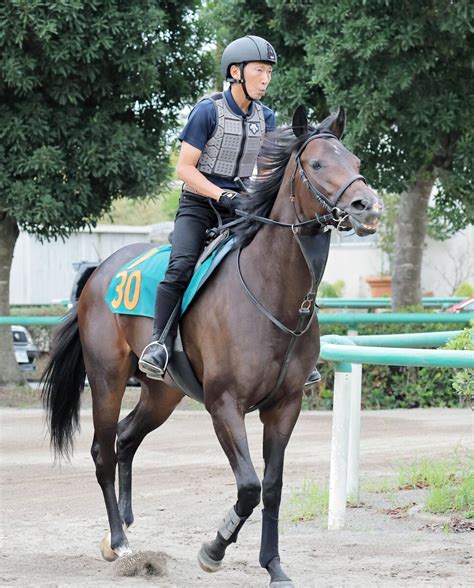 【土曜の注目新馬】ブラックタイド×アパパネのアスパルディーコ、完成度高め！初戦から動ける態勢 Umatoku 馬トク