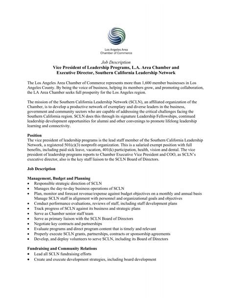 Executive Vice President Job Description