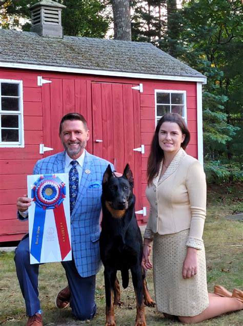 Local Listings and Classifieds for South Shore Massachusetts 1