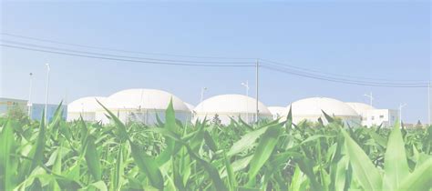 Yhr Tanks Membrane Biogas Holder Manufacturer Supplier Bio Storage