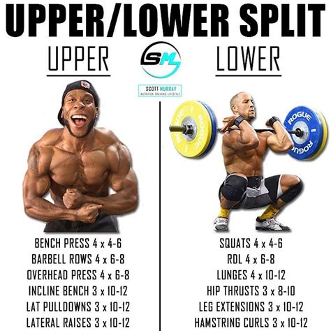 8 Powerful Muscle Building Gym Training Splits Lower Workout Workout Splits