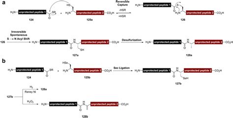 A Native Chemical Ligation Ncl And Postligation Desulfurization B Download Scientific