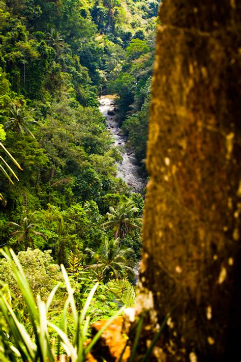 Swimming Naked How A Supermodel A Skinny Dip And The Source Helped Me Silence My Voice Of